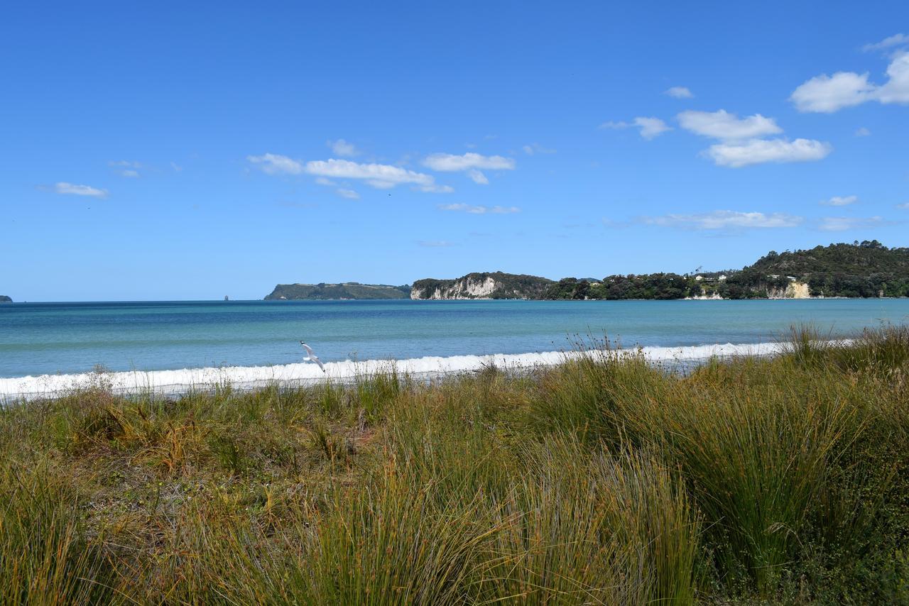 Paradise In Whitianga B&B Wells Place Екстер'єр фото